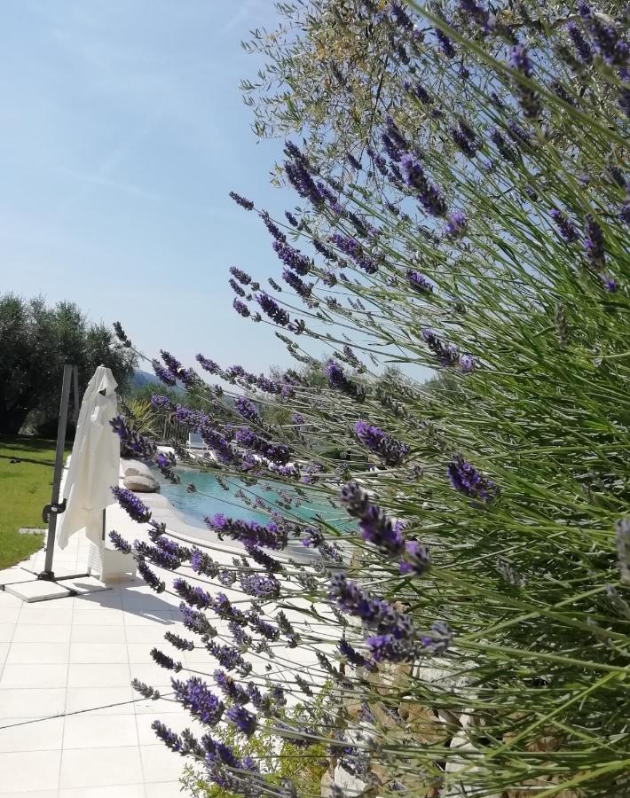 La Cicala Stonata Bed & Breakfast Dolceacqua Bagian luar foto