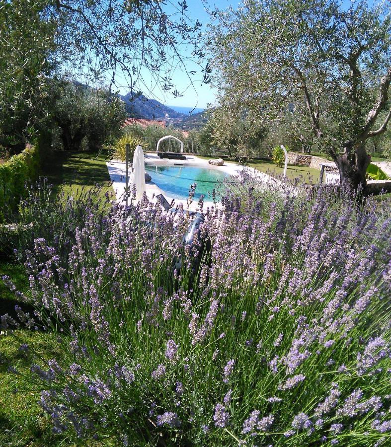 La Cicala Stonata Bed & Breakfast Dolceacqua Bagian luar foto