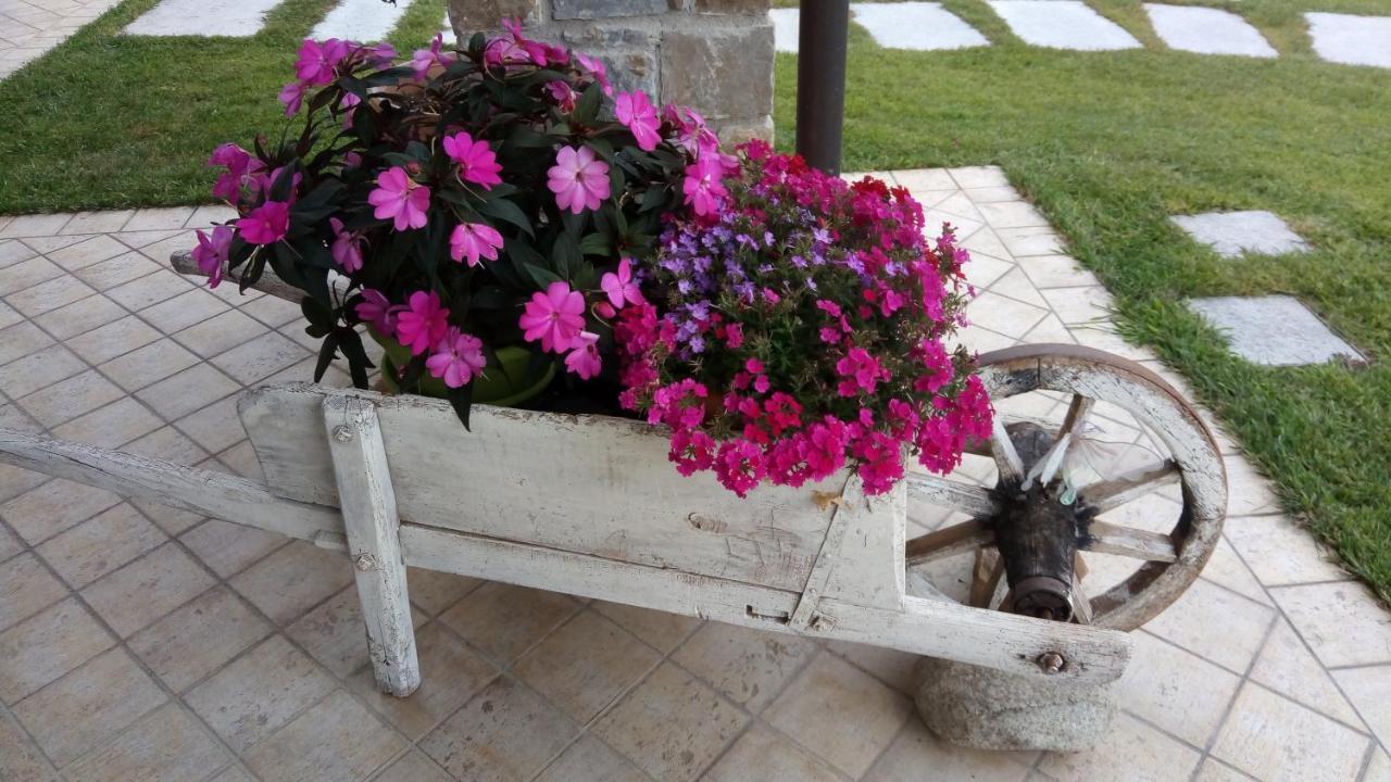 La Cicala Stonata Bed & Breakfast Dolceacqua Bagian luar foto