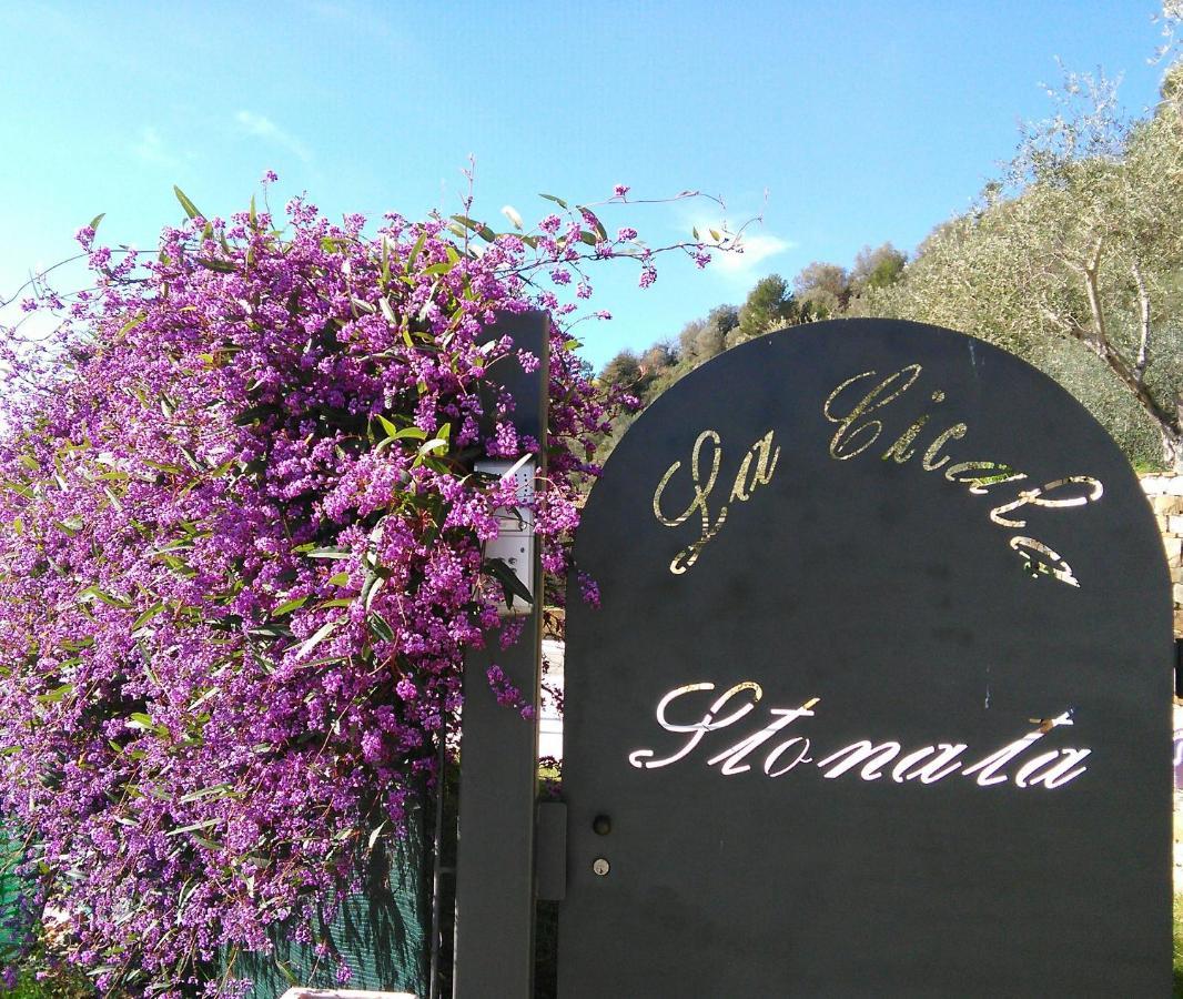 La Cicala Stonata Bed & Breakfast Dolceacqua Bagian luar foto