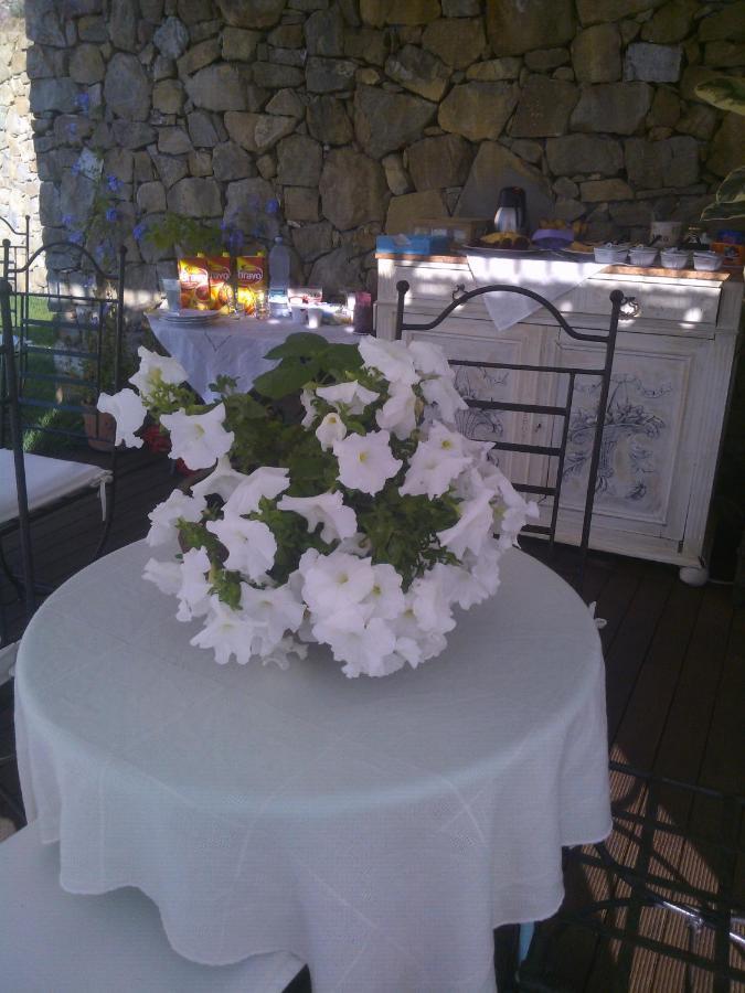 La Cicala Stonata Bed & Breakfast Dolceacqua Bagian luar foto