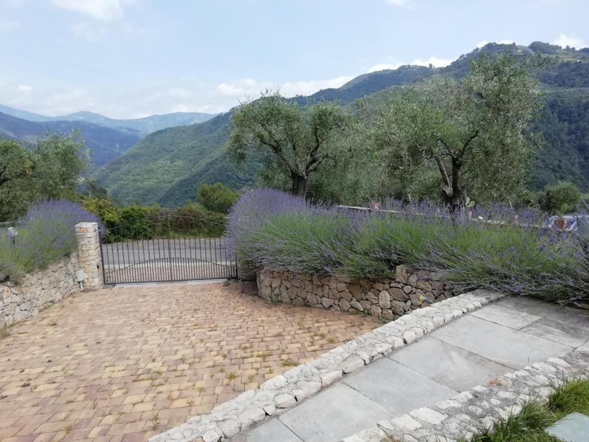La Cicala Stonata Bed & Breakfast Dolceacqua Bagian luar foto