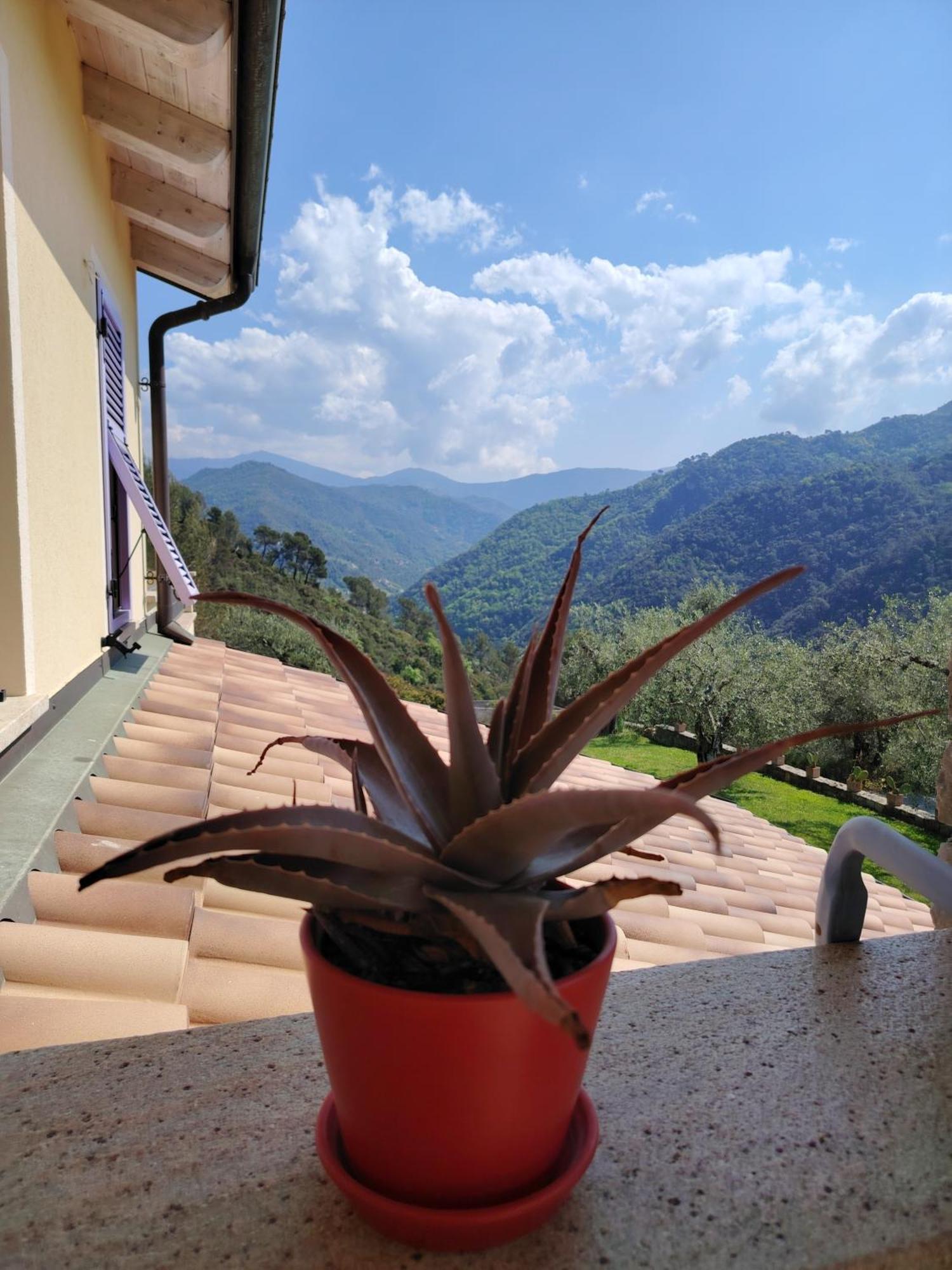 La Cicala Stonata Bed & Breakfast Dolceacqua Bagian luar foto